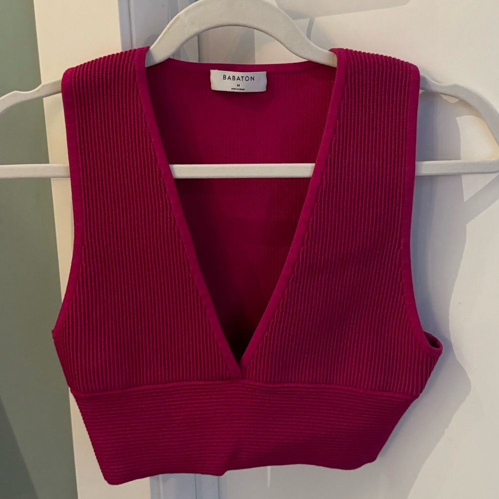 Aritiza Ripped v neck crop top